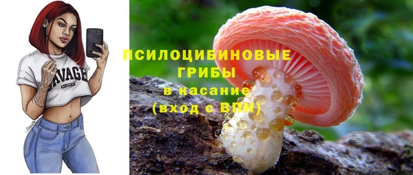 молекула духа Армянск